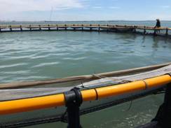 微信圖片_20200611085147