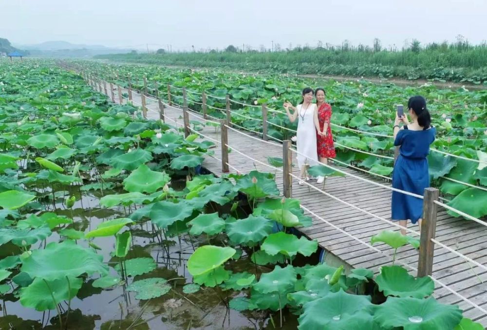 說明: https://inews.gtimg.com/newsapp_bt/0/14540248751/1000