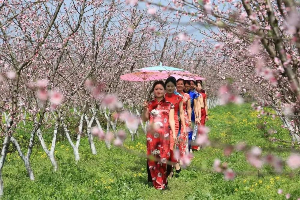 說明: https://inews.gtimg.com/newsapp_bt/0/14540248752/1000