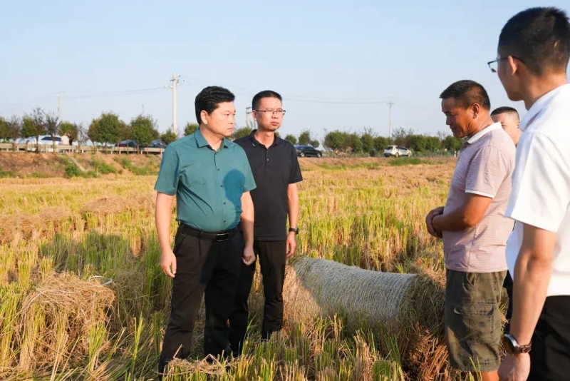 {(dio)нնl(xing)dc弯w(jng)(j)l(f)չ