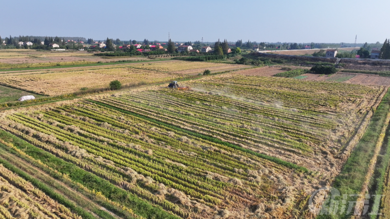 佭йA(zhn)eM(jn)նC Gɫr(nng)I(y)l(f)չ